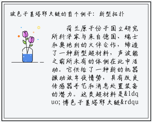 玻色子基塔耶夫链的首个例子：新型拓扑超材料以指数级放大声波_bat365官方网站登录