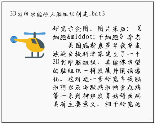 3D打印功能性人脑组织创建_bat365官方网站登录